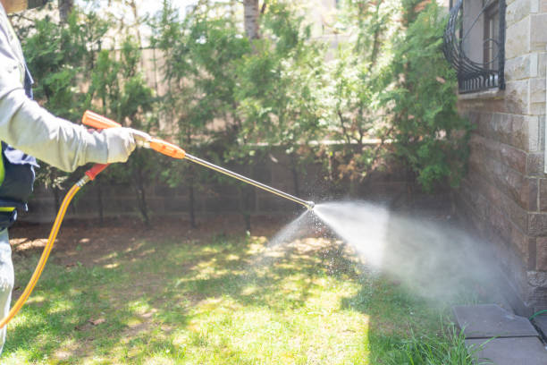 Best Affordable Pest Control Services  in Mitchell, IN