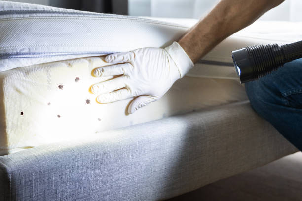 Best Emergency Pest Control  in Mitchell, IN
