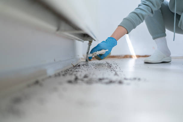 Best Local Pest Control Services  in Mitchell, IN
